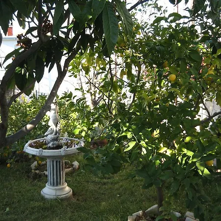 Zvonar Donji Okrug (Ciovo)